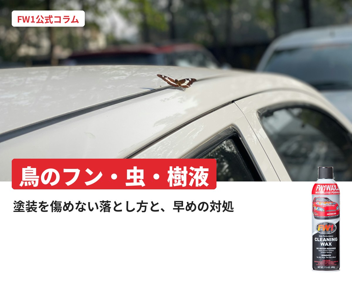 鳥のフン・虫・樹液の落とし方|FW1公式コラム