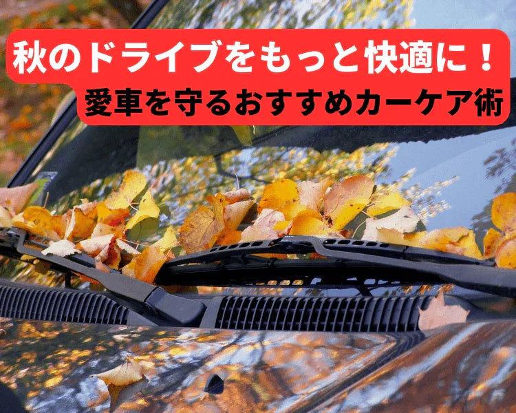 秋のドライブをもっと快適に！愛車を守るおすすめカーケア術